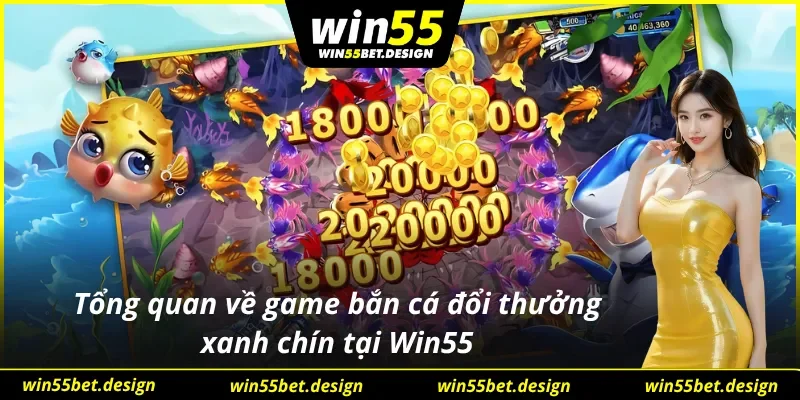 Hình thức bắn cá và xu hướng giải trí không thể bỏ lỡ