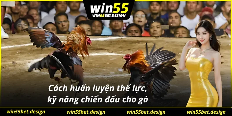 Thể lực và kỹ năng chiến đấu cần huấn luyện đúng cách