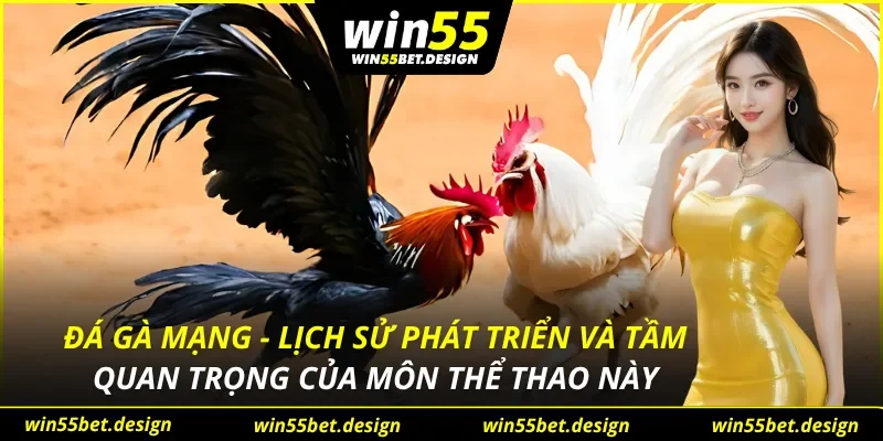 Đá Gà Mạng