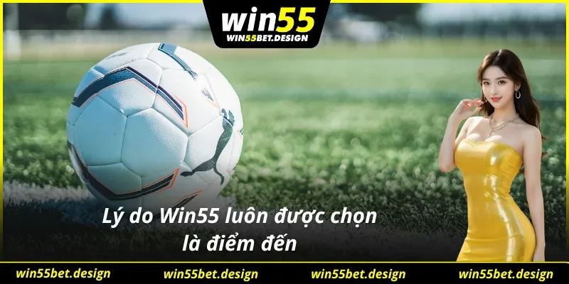 Các ưu điểm khiến đây là nơi luôn được chọn