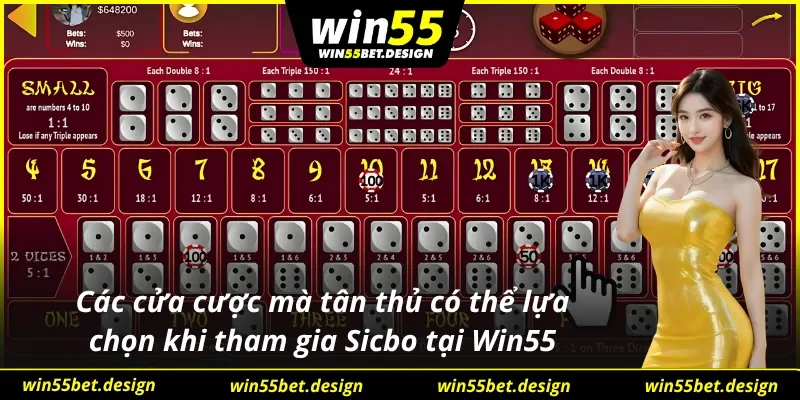 03 cửa cược phổ biến có trong Sicbo Win55 để Newbie lựa chọn