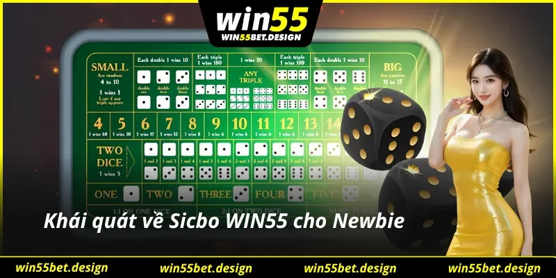 Những thông tin cơ bản về Sicbo Win55 cho Newbie