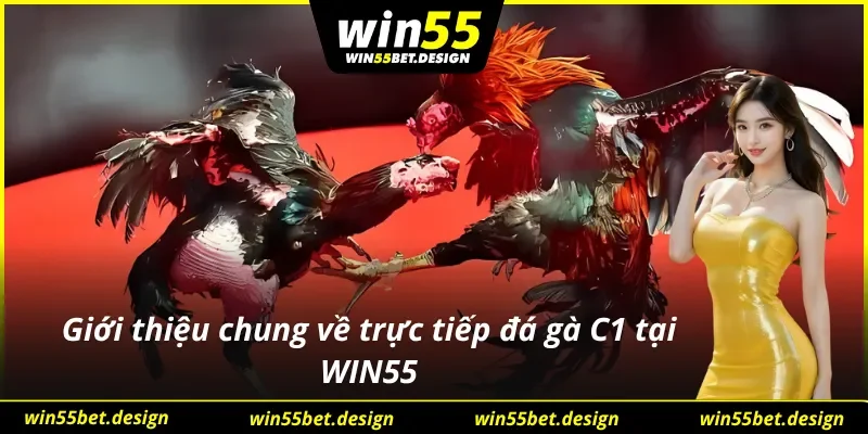 Giới thiệu chung về đá gà C1